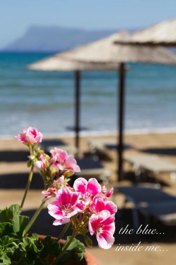 Molos Beach Rooms キサモス エクステリア 写真
